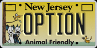 New Jersey Optional Graphic