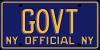 New York -
                  Government
